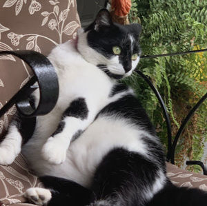 Meet your Posher, Lily